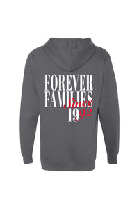 Since 1992 Hoodie